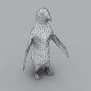 企鹅-动植物-鸟类-VR/AR模型-3D城