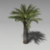 棕榈-动植物-植物-VR/AR模型-3D城