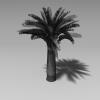 棕榈-动植物-植物-VR/AR模型-3D城