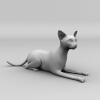 猫-动植物-哺乳动物-VR/AR模型-3D城
