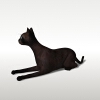 猫-动植物-哺乳动物-VR/AR模型-3D城