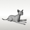 猫-动植物-哺乳动物-VR/AR模型-3D城