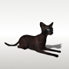 猫-动植物-哺乳动物-VR/AR模型-3D城