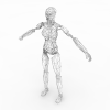 女机器人-角色人体-角色-VR/AR模型-3D城