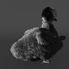 雏鹅-动植物-鸟类-VR/AR模型-3D城