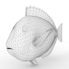 鱼-动植物-鱼类-VR/AR模型-3D城