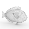 鱼-动植物-鱼类-VR/AR模型-3D城