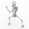 人体骨骼设计-角色人体-医学解剖-VR/AR模型-3D城