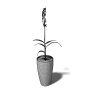 盆栽-动植物-盆栽-VR/AR模型-3D城