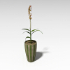 盆栽-动植物-盆栽-VR/AR模型-3D城