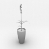 盆栽-动植物-盆栽-VR/AR模型-3D城