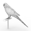 鸟-动植物-鸟类-VR/AR模型-3D城