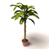 盆景-动植物-盆栽-VR/AR模型-3D城
