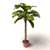 盆景-动植物-盆栽-VR/AR模型-3D城