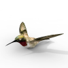 海鸟-动植物-鸟类-VR/AR模型-3D城