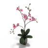 精品盆栽-动植物-花草-VR/AR模型-3D城