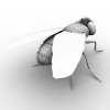 苍蝇-动植物-昆虫-VR/AR模型-3D城