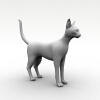 猫-动植物-哺乳动物-VR/AR模型-3D城