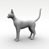 猫-动植物-哺乳动物-VR/AR模型-3D城