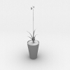 盆栽-动植物-盆栽-VR/AR模型-3D城