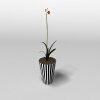 盆栽-动植物-盆栽-VR/AR模型-3D城