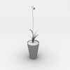 盆栽-动植物-盆栽-VR/AR模型-3D城