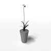 盆栽-动植物-盆栽-VR/AR模型-3D城