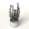 盆景-动植物-盆栽-VR/AR模型-3D城