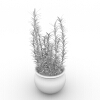 盆景-动植物-盆栽-VR/AR模型-3D城