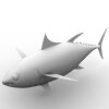 鱼-动植物-鱼类-VR/AR模型-3D城
