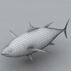 鱼-动植物-鱼类-VR/AR模型-3D城