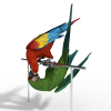 鹦鹉-动植物-鸟类-VR/AR模型-3D城