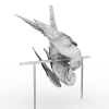 鹦鹉-动植物-鸟类-VR/AR模型-3D城
