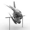 鹦鹉-动植物-鸟类-VR/AR模型-3D城