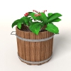 盆景-动植物-盆栽-VR/AR模型-3D城