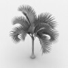 棕榈树-动植物-植物-VR/AR模型-3D城