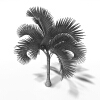 棕榈树-动植物-植物-VR/AR模型-3D城