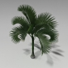 棕榈树-动植物-植物-VR/AR模型-3D城