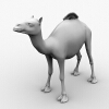 骆驼-动植物-哺乳动物-VR/AR模型-3D城