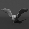 信鸽-动植物-鸟类-VR/AR模型-3D城