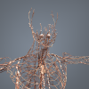 男人体解剖_淋巴系统-角色人体-医学解剖-VR/AR模型-3D城