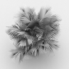 霸王棕-动植物-植物-VR/AR模型-3D城