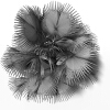 霸王棕-动植物-植物-VR/AR模型-3D城