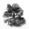 霸王棕-动植物-植物-VR/AR模型-3D城