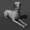 斑点犬-动植物-哺乳动物-VR/AR模型-3D城
