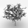 室外植物-动植物-植物-VR/AR模型-3D城