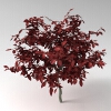 室外植物-动植物-植物-VR/AR模型-3D城