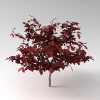 室外植物-动植物-植物-VR/AR模型-3D城