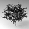 室外植物-动植物-植物-VR/AR模型-3D城