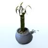盆景-动植物-盆栽-VR/AR模型-3D城